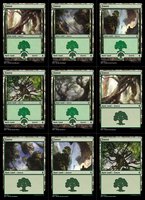 BFZ Forests.jpg