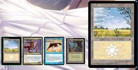 border.jpg