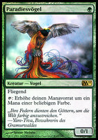 Birds of Paradise.jpg