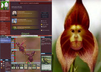 screenshot.jpg