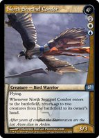 North Sentinel Condor.full.jpg