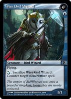 Wise Owl Wizard.full.jpg