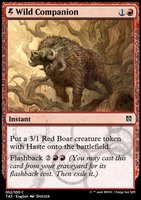 Wild Companion.full.jpg