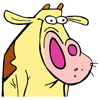 Cow.jpg