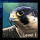 Bird-pet-icon.gif