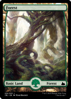 Forest3.full.jpg