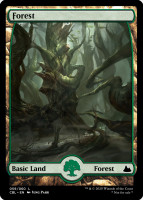 Forest9.full.jpg