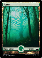 Forest11.full.jpg