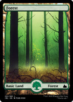 Forest12.full.jpg
