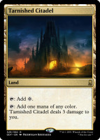 Tarnished Citadel.full.jpg