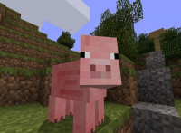 MINECRAFT_PIG.jpg