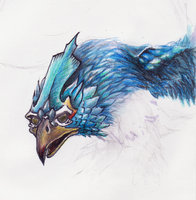 birdPetProgress.jpg